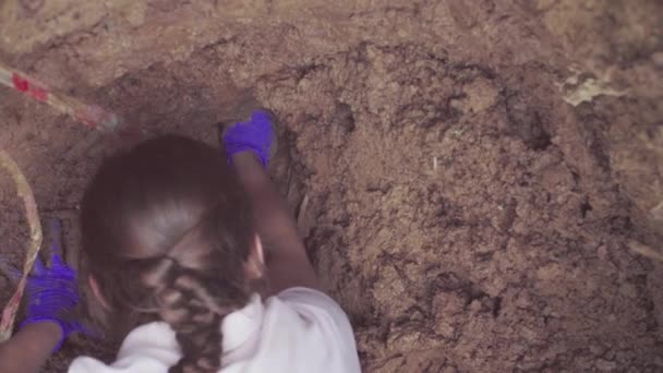 Woman ecologist in the forest digging a soil slit — Stock Video