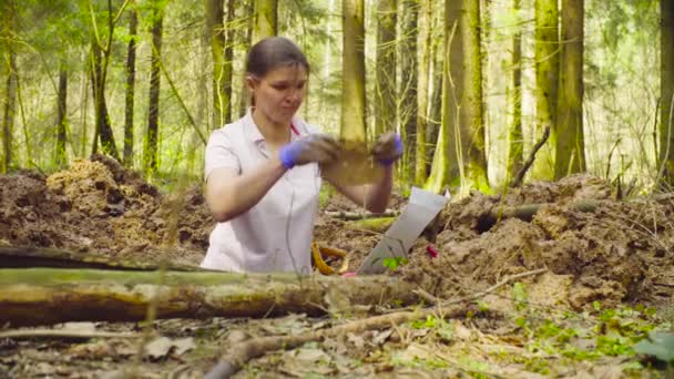 Жінка-еколог в лісі копає ґрунт щілини — стокове відео