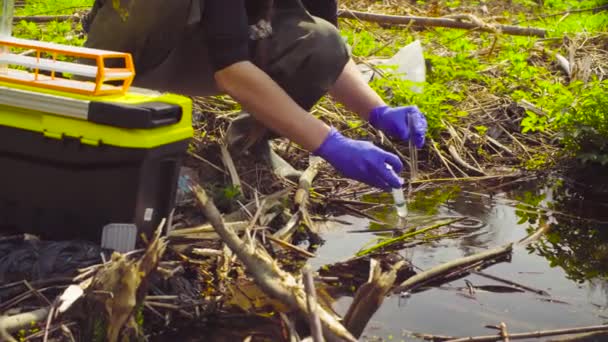 Вчений еколог в лісі бере зразки води — стокове відео