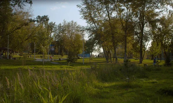 Vista del parque en verano — Foto de Stock