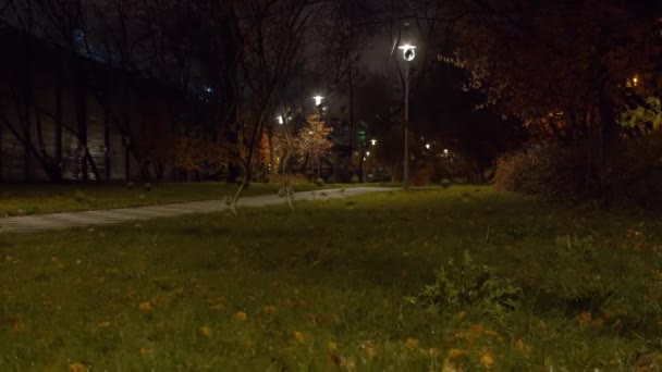 Pioggia nel parco autunnale. Vista attraverso il vetro con gocce piovose . — Video Stock