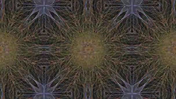 Animation. Muster rotierender Mandalas — Stockvideo