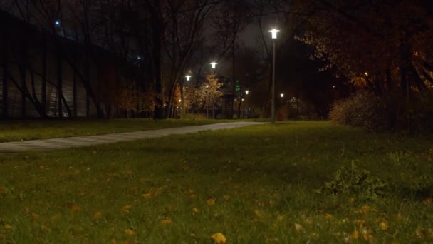Парк восени, падає дощ на траву — стокове відео