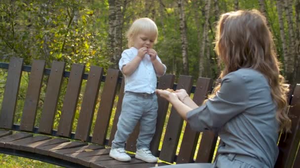 幼児はベンチに立ってクッキーを食べる — ストック動画