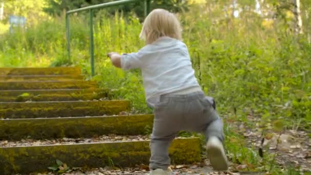 Toddler climbing up stairs — Stock Video © chudakov #321513764