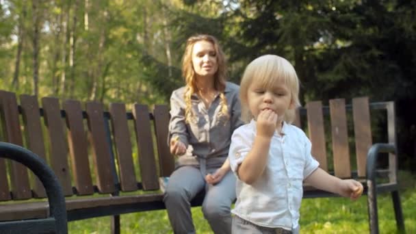 Leksakspromenader i parken — Stockvideo