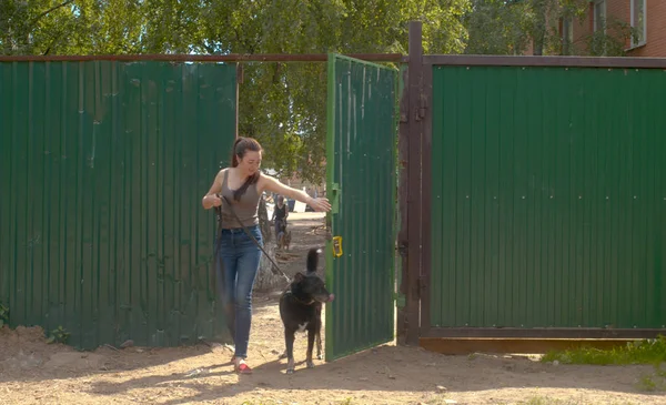 Woman volunteer walking with a dog — ストック写真