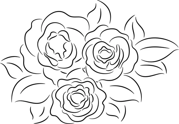 Rosa flores contorno — Vector de stock