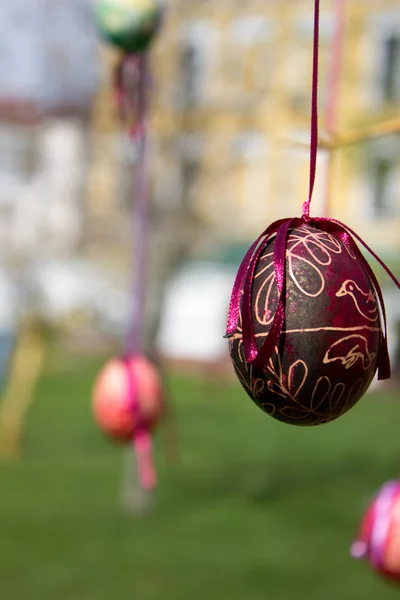 Easter eggs  on the tree — Stock Photo, Image