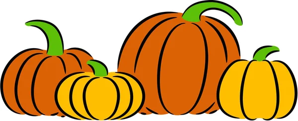 Big ripe pumpkins — Stock Vector