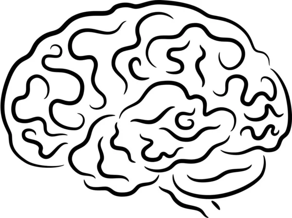Ilustração Esboço Cérebro Humano Isolado Ilustração Vetorial —  Vetores de Stock
