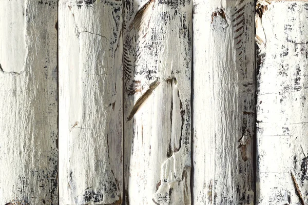 Trä logg bakgrund, vita färgade plankor Bark, timmer — Stockfoto