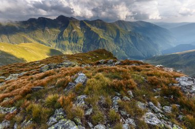 Rocky Dağları ile peyzaj 