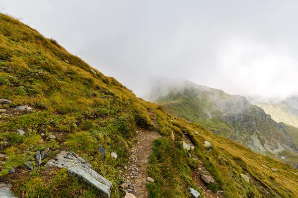 Trilha de caminhadas indo para montanhas — Fotografia de Stock