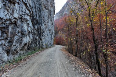 dağ yolundan Güz