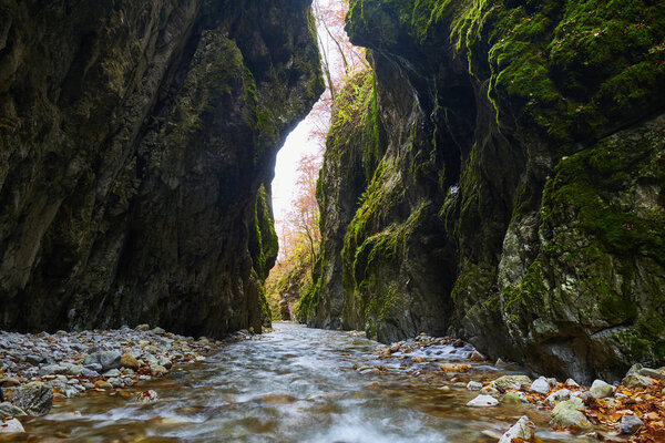  river flowing through  canyon