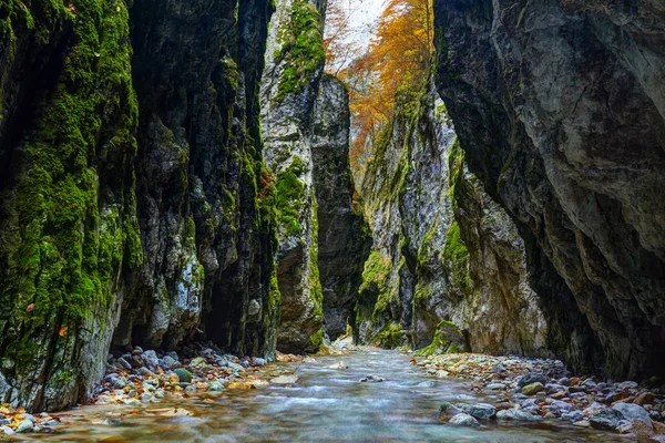 Река течет через каньон — стоковое фото