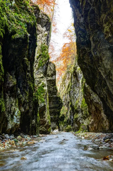 Fluss fließt durch Schlucht — Stockfoto