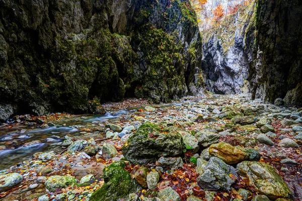 Řeka tekoucí kaňonem — Stock fotografie