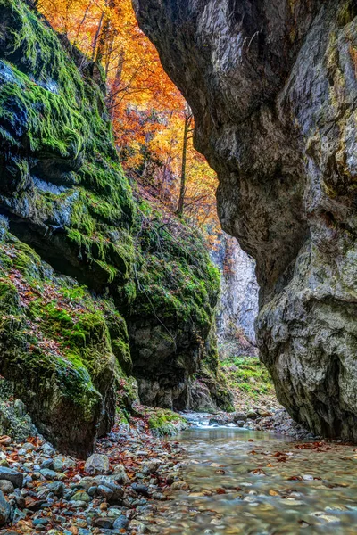 Řeka tekoucí kaňonem — Stock fotografie