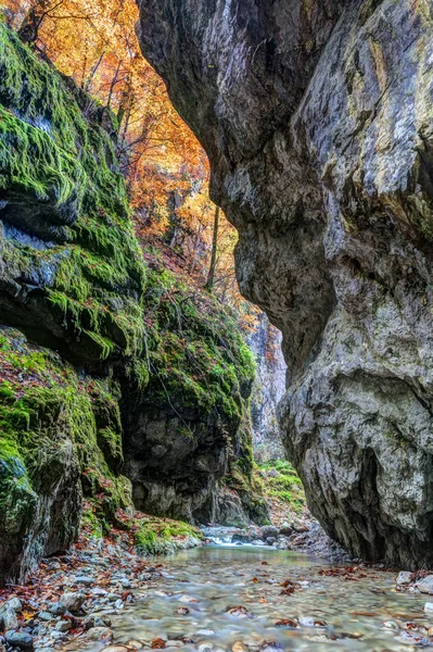 River flowing through  canyon — Stock Photo, Image