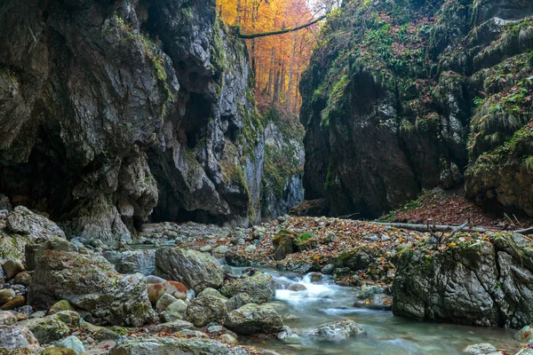 Río que fluye a través del cañón — Foto de Stock