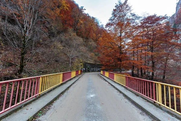 Mountain road in autumn — Stock Photo, Image