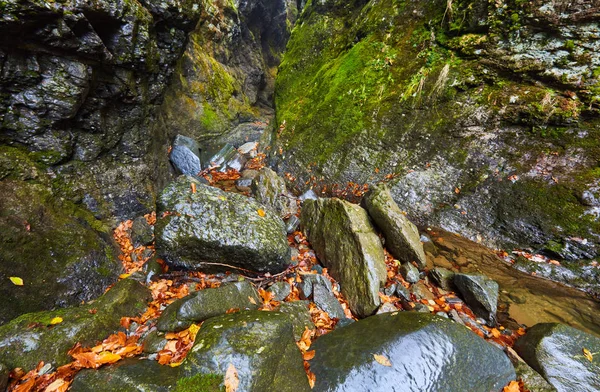 Canyon a řeka v rocky mountains — Stock fotografie