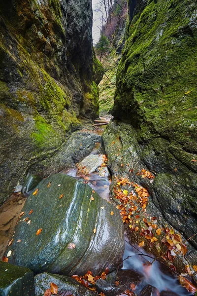 Canyon et une rivière dans les montagnes rocheuses — Photo