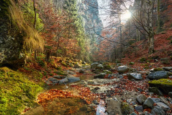 Canyon et une rivière dans les montagnes rocheuses — Photo