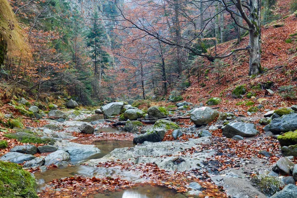 Canyon en een rivier in de rocky mountains — Stockfoto