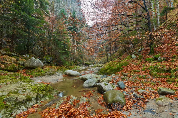 Canyon a řeka v rocky mountains — Stock fotografie