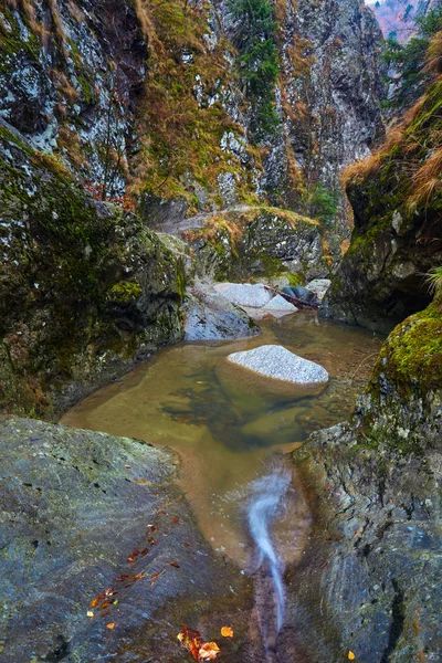 Kanion i rzeki w górach skalistych — Zdjęcie stockowe