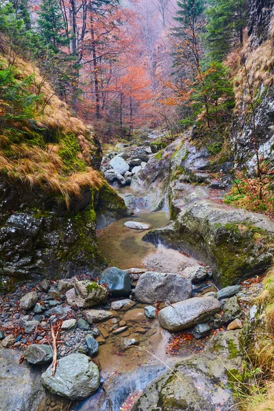 Kanyon ve rocky Dağları'nda bir nehir — Stok fotoğraf