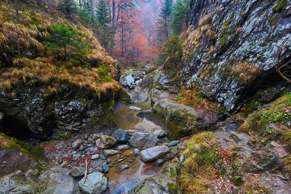 Canyon en een rivier in de rocky mountains — Stockfoto