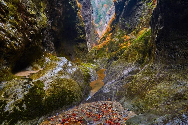 Canyon and a river in rocky mountains — Stock Photo, Image