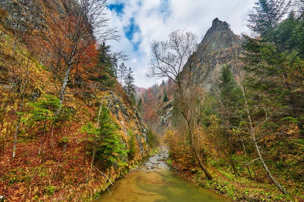 Canyon e un fiume tra montagne rocciose — Foto Stock