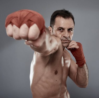 çeşitli duruşlar boksör