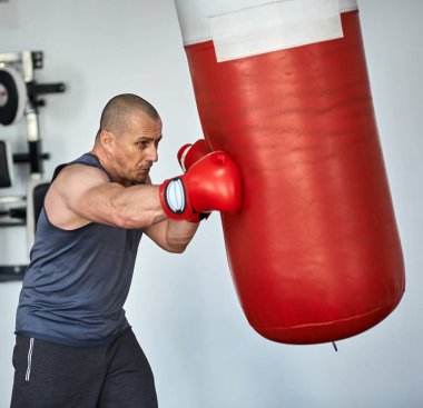 Eğitim spor boxer