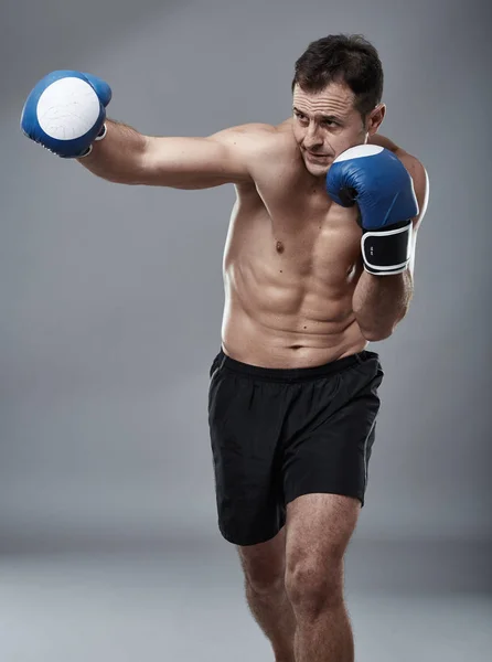 Boxer in various postures — Stock Photo, Image