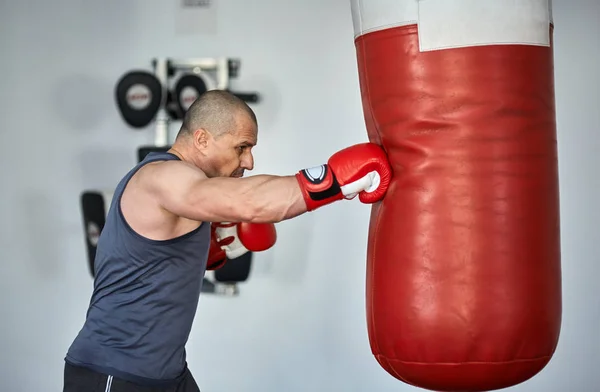 Eğitim spor boxer — Stok fotoğraf