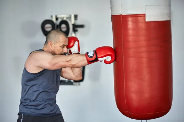 Man training with punch bags — Stock Photo, Image
