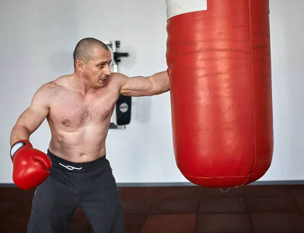 Entrenamiento de boxeadores en gimnasio —  Fotos de Stock