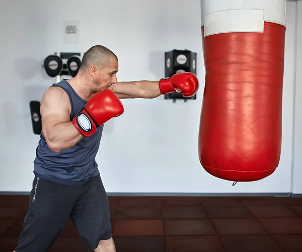 Boxare tränar i gym Royaltyfria Stockbilder