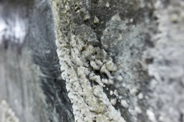塩の結晶塩の壁に鉱山 — ストック写真