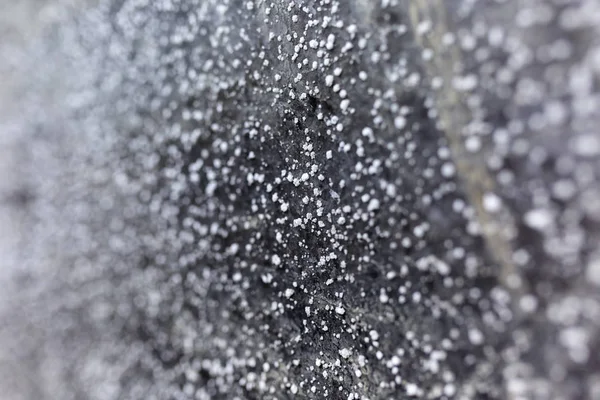 Кристаллы соли на стене в соляной шахте — стоковое фото