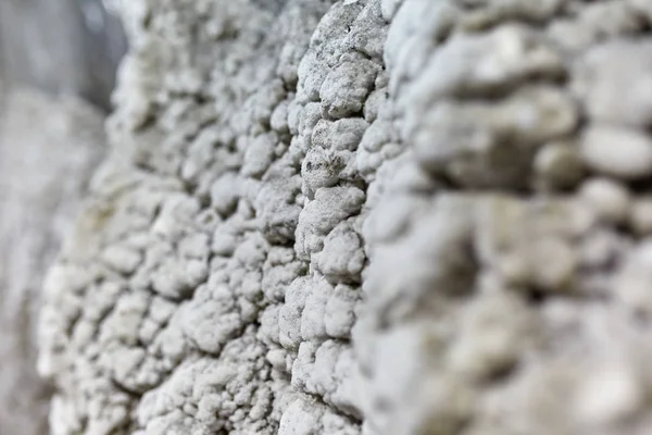 Βιελίτσκα κρύσταλλα σε έναν τοίχο στο αλάτι — Φωτογραφία Αρχείου