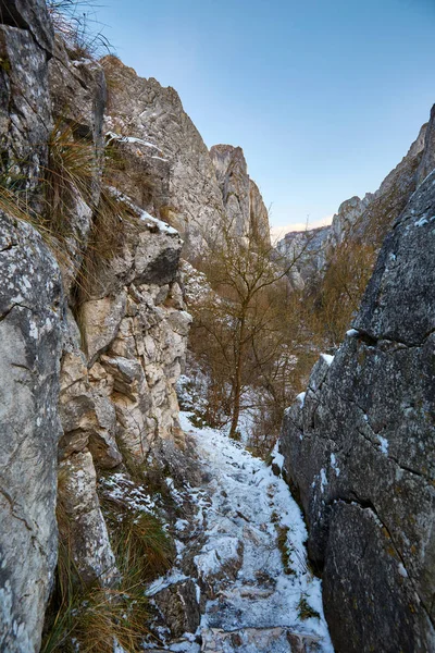 Зимовий пейзаж в каньйоні — стокове фото