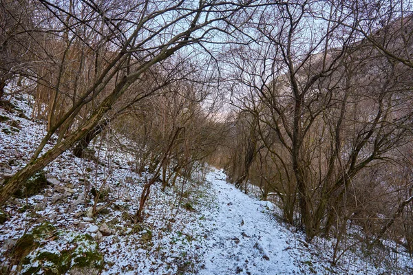 峡谷の冬の風景 — ストック写真
