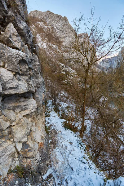 Kış manzara bir kanyon — Stok fotoğraf